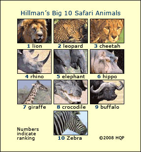 Big 5 safari animals list,