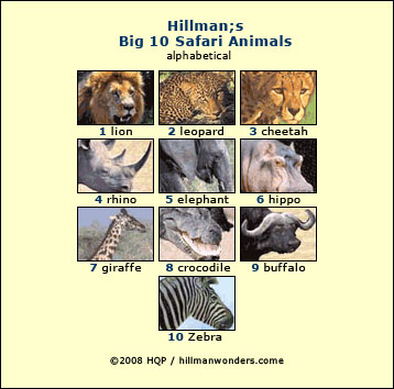 safari animals names